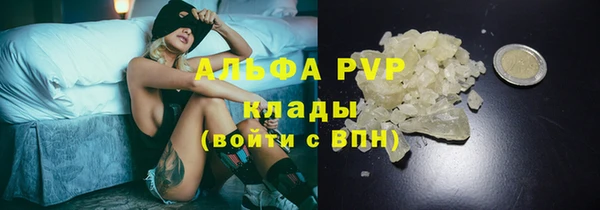 ПСИЛОЦИБИНОВЫЕ ГРИБЫ Сафоново