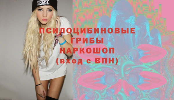 мдпв Саяногорск