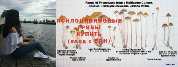 гашик Абдулино
