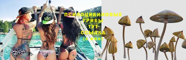 бутират Абинск