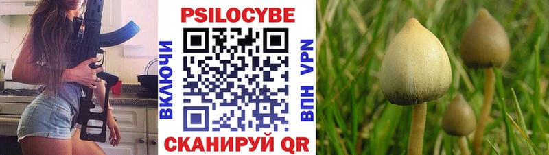 Галлюциногенные грибы мицелий  Остров 